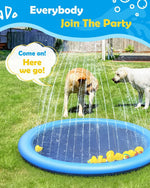 Piscina Spruzzatore per Cani