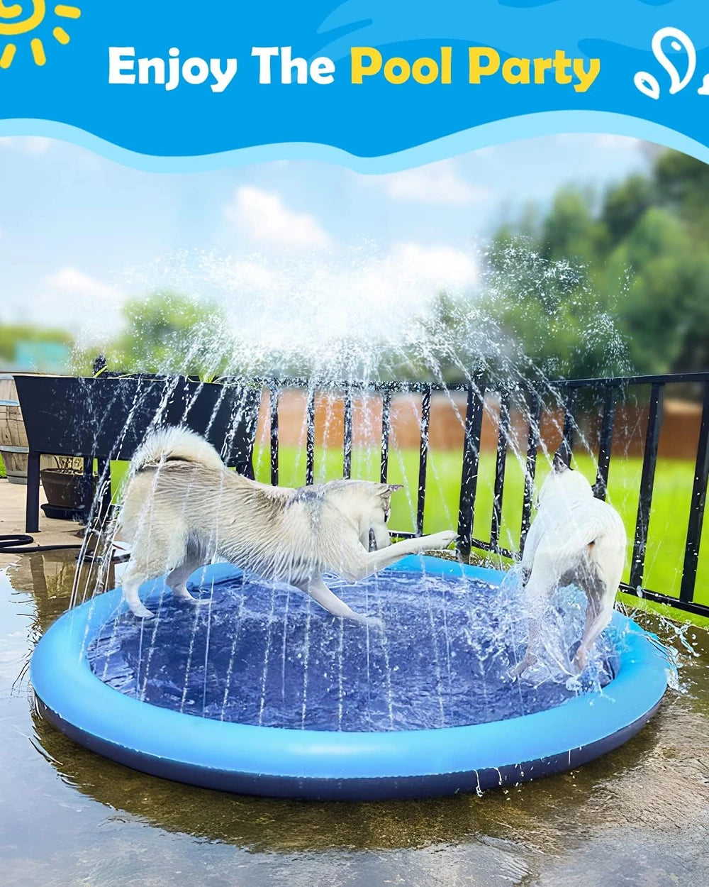 Piscina Spruzzatore per Cani